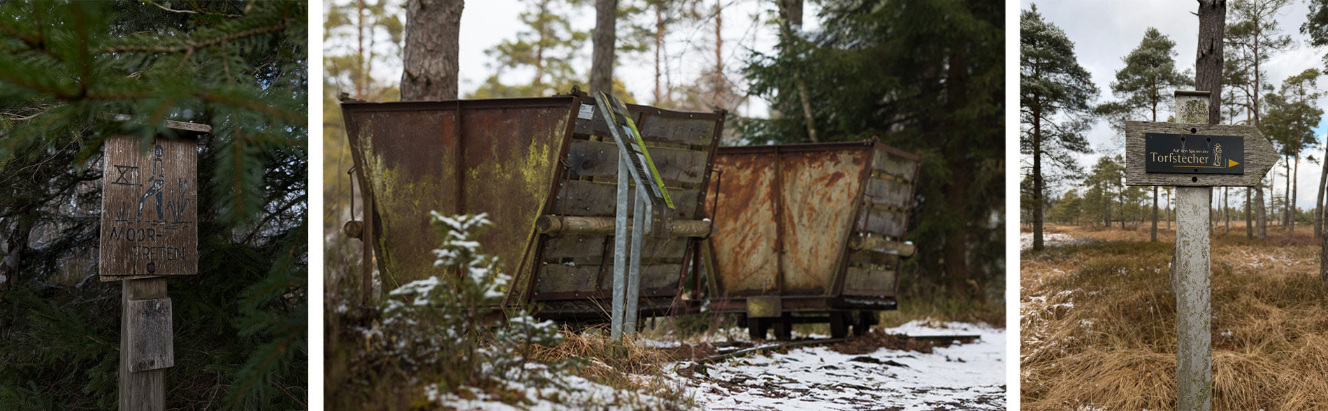 Wurzacher Ried Collage 2